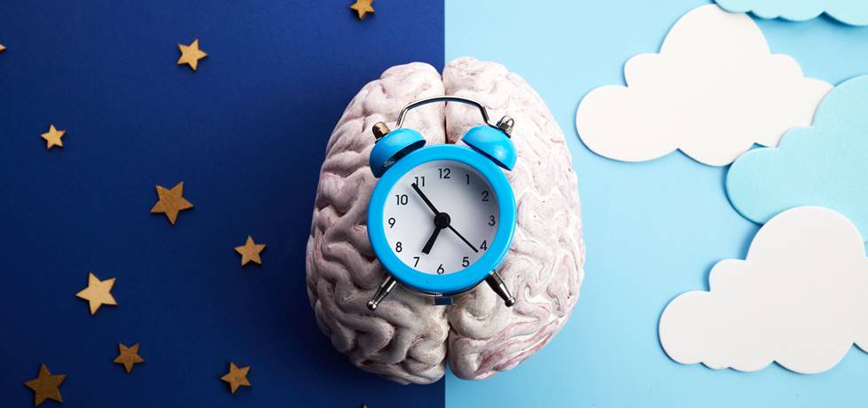 Treino Matinal vs. Noturno: O Guia Definitivo para Otimizar Seu Exercício e Conquistar um Sono Perfeito